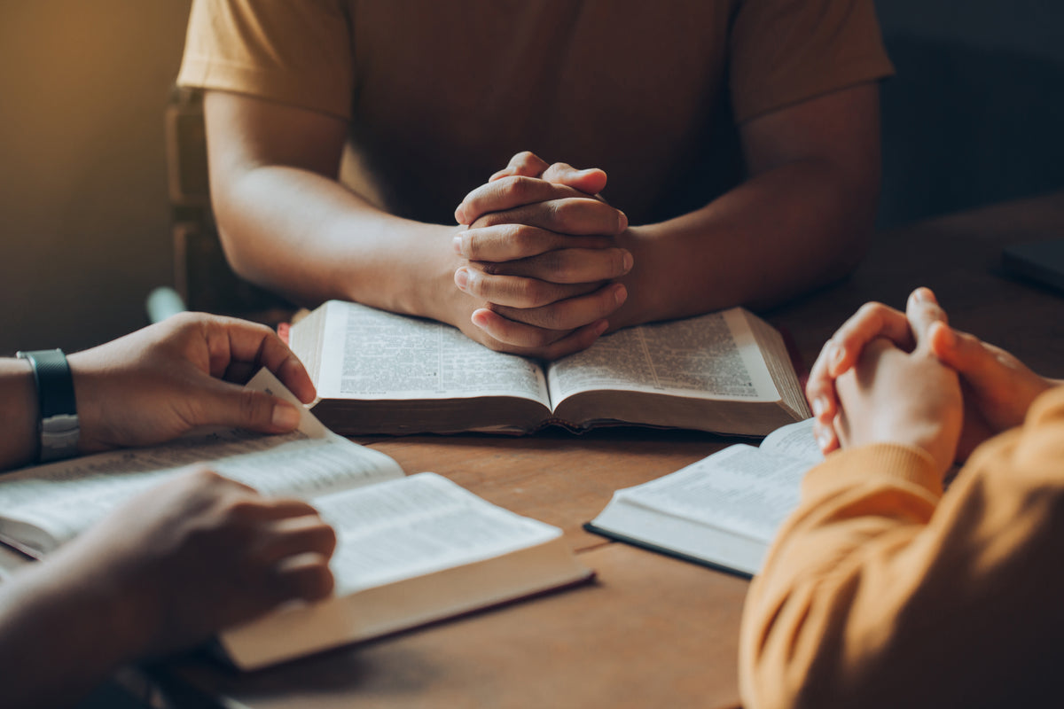 The Catholic American Bible